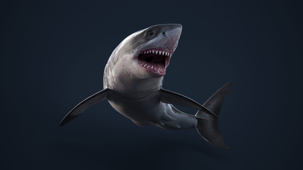 Cinematic Great White Shark