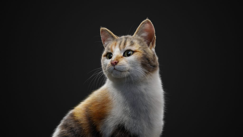 Photorealistic Calico Cat
