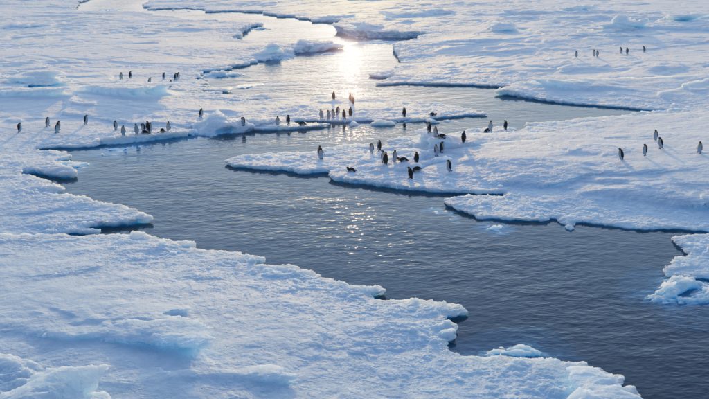 Polar Glacier Environment Creation